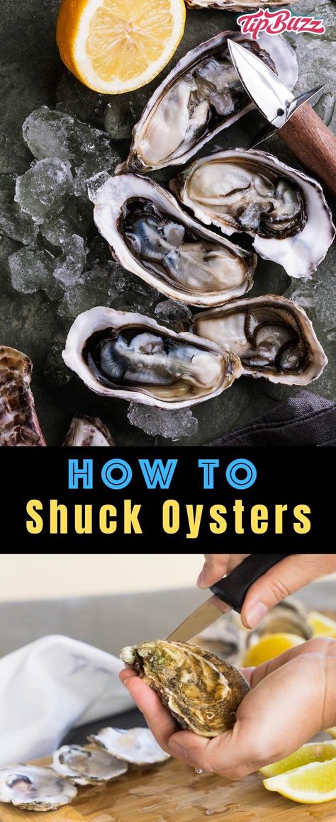 Learn How to Shuck Oysters quickly, easily and safely with this step-by-step guide! See how to do it without an oyster shucking knife along with how to clean oysters and how to cook oysters after shucking. #oysters How To Shuck Oysters At Home, How To Open Oysters Shells, How To Cook Oysters, How To Shuck An Oyster, Oysters At Home, How To Cook Garlic, Oyster Shucking, Cooked Oysters, Best Oysters