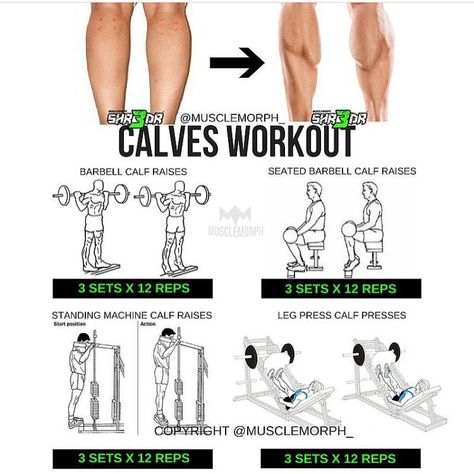 3,407 Likes, 15 Comments - MuscleMorph® (@musclemorph_) on Instagram: “Who DOESN'T want bigger calves ‍♂️Try this workout LIKE/SAVE IT if you found this useful.…” Calves Workout Gym, Calve Exercises, Big Back Workout, Calves Workout, Calf Workout, Bigger Calves, Calf Training, Calves Exercises, Calf Exercises