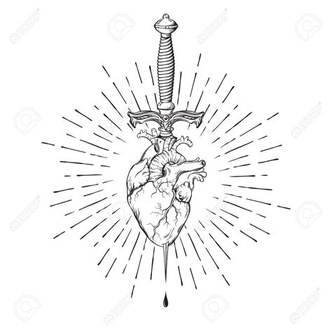 Heart Dagger Tattoo, Human Heart Tattoo, Dagger Drawing, Ems Tattoos, Anatomical Heart Tattoo, Tattoo Outline Drawing, Brain Art, Flash Tattoo Designs, Traditional Tattoo Design