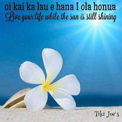 "Live your life while the sun is still shining" Hawaiian Proverbs, Hawaiian Sayings, Hawaii Language, Hawaiian Words And Meanings, Hawaii Quotes, Hawaiian Phrases, Hawaiian Quotes, Hawaiian Language, Island Quotes