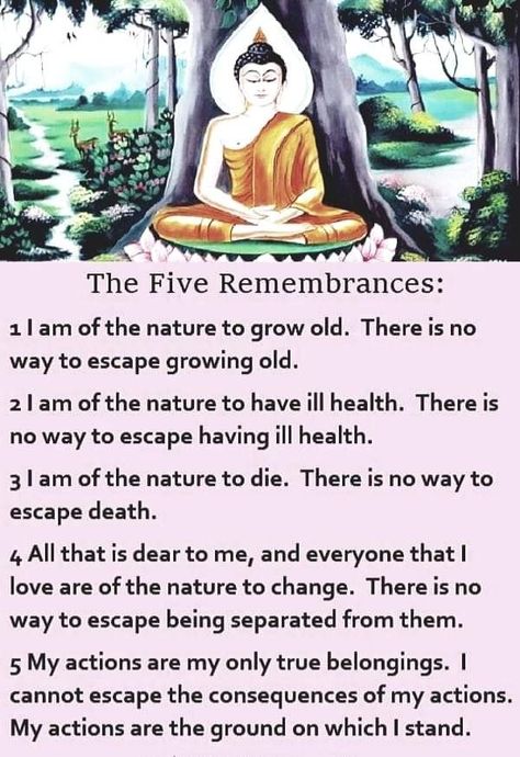 The Five Remembrances, Nirvana Buddhism, Buddhism Philosophy, Buddhism For Beginners, Buddhism Beliefs, Buddha's Teachings, Daily Spiritual Quotes, Buddhist Mantra, Buddha Quotes Life