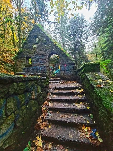 Oregon Home Aesthetic, Pnw Gothic, Portland Oregon Aesthetic, Portland Oregon Photography, St Helens Oregon, Living In Oregon, Oregon Aesthetic, Gresham Oregon, Oregon Summer