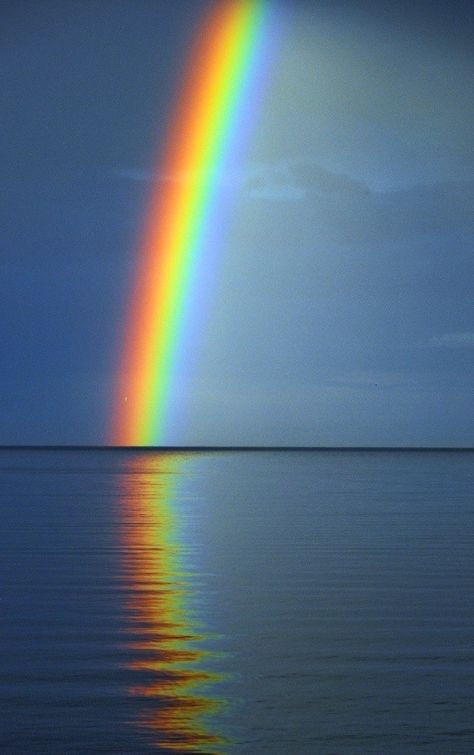 Wow -- such a contrast between the dark storm of today, melding into the hope of tomorrow! God's Promise, God's Promises, Love Rainbow, Lake Ontario, Beautiful Rainbow, Science And Nature, A Rainbow, Amazing Nature, Beautiful World