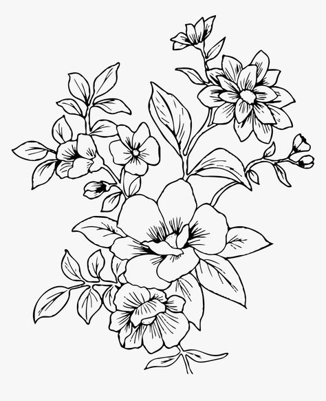 White Flower Png, Flower Tattoo Back, Flower Line Drawings, Transparent Flowers, Simple Line Drawings, Line Flower, Black And White Flowers, Vector Flowers, Flower Coloring Pages