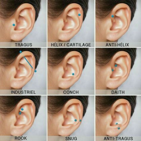 Piercing No Lóbulo, Ušný Piercing, Ear Piercing Names, Guys Ear Piercings, Piercing Daith, Ear Peircings, Ear Piercings Chart, Piercing Chart, Double Ear Piercings