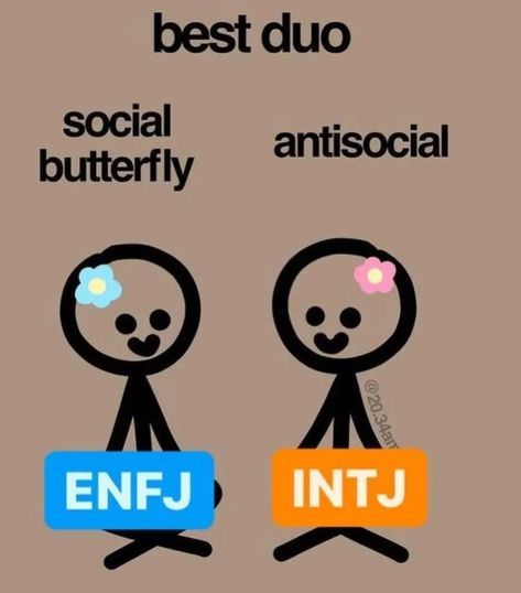 Enfj X Intj Relationship, Enfj And Intj, Enfj Core, Enfj Intj, Intj Things, Enfj Personality, 16 Personality Types, Enfj T, The 16 Personality Types