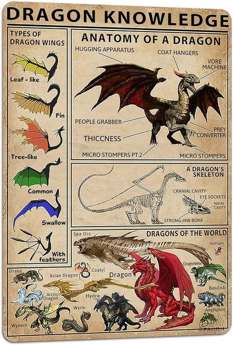 Amazon.com : PAIION Dragon Knowledge Types of Dragon Wings Metal Sign 8x12 Inches, Boy Bedroom Home Kitchen Retro Bar Pub Office Wall Decor : Home & Kitchen Dragon Knowledge, Dragon Poster, Knowledge Poster, Types Of Dragons, Vertical Poster, Dragon Wings, Canvas Print Display, A Dragon, Canvas Wall Decor