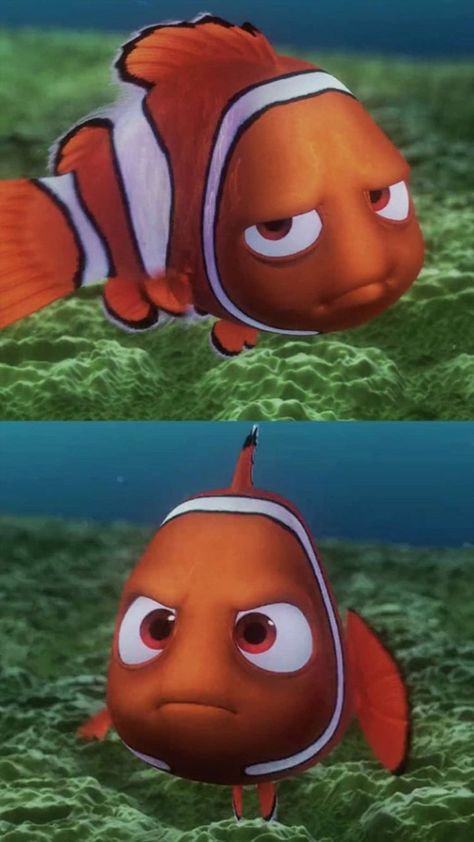 Dory And Nemo, Dory Nemo, Finding Nemo 2003, Land Of Ooo, Disney Finding Nemo, Disney Pixar Characters, Pixar Characters, Finding Dory, Finding Nemo