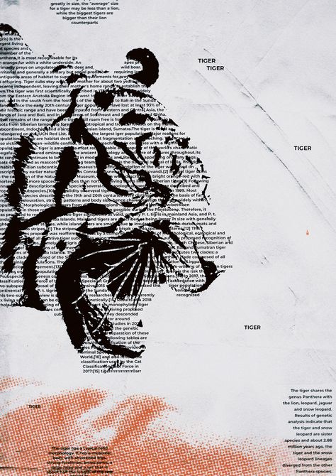 Typography Tiger poster Tiger Graphic Design, Photoshop Poster Design, Tiger Quotes, Tiger Poster, Photoshop Poster, Paper Background Design, Typography Poster Design, Tiger Design, Poster Artwork