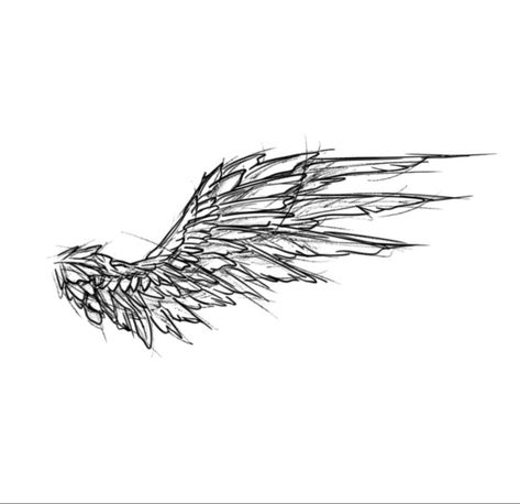 Simple Wing Tattoo, Angel Wings Tattoo Man, Scratch Tattoo, Daniel Tattoo, Rib Tattoos For Guys, Wing Tattoo Men, Wolf Tattoos Men, Mexican Art Tattoos, Aztec Tattoo Designs