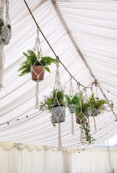 Hanging Plant Wedding Decor, Hanging Plants Wedding Decor, Houseplants Wedding Decor, Live Plants Wedding Decor, House Plant Wedding Decor, Potted Plants Wedding Decor, Hanging Plants Wedding, House Plant Wedding, Houseplant Wedding