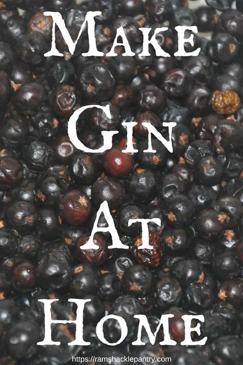 Make Your Own Gin, Wine Making Recipes, Distilling Alcohol, Cocktails Vodka, How To Make Gin, Homemade Alcohol, Homemade Liquor, Brewing Recipes, Liquor Recipes