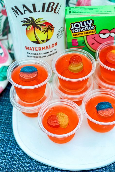 How To Make Jolly Rancher Watermelon Jello Shots Jello Shots Watermelon, Candy Jello Shots, Jolly Rancher Jello Shots, Malibu Jello Shots, Alcohol Jello Shots, Jolly Rancher Drink, Hello Shots, Jolly Rancher Jello, Watermelon Shots