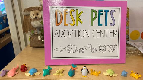 Desk Pets | Swoop into Kindergarten Desk Pets, Desk Pet, Book Bins, Pet Adoption Center, Adoption Day, Keeping A Journal, Time Activities, Pet Signs, Positive Behavior