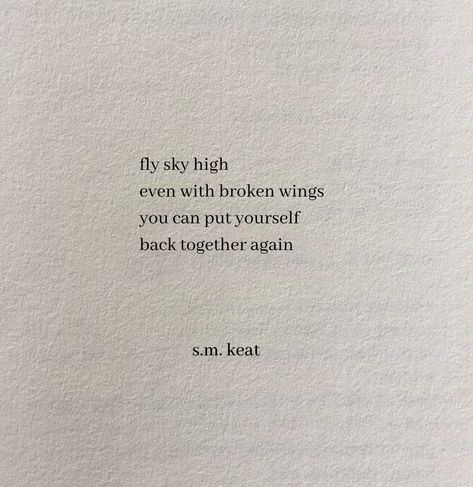 fly sky high. even with broken wings you can put yourself back together again. Torn Wings Aesthetic, Songbird Quotes, Fly High Quotes, Wing Quotes, Wings Quotes, High Quotes, Fly Quotes, Sky Quotes, Broken Wings