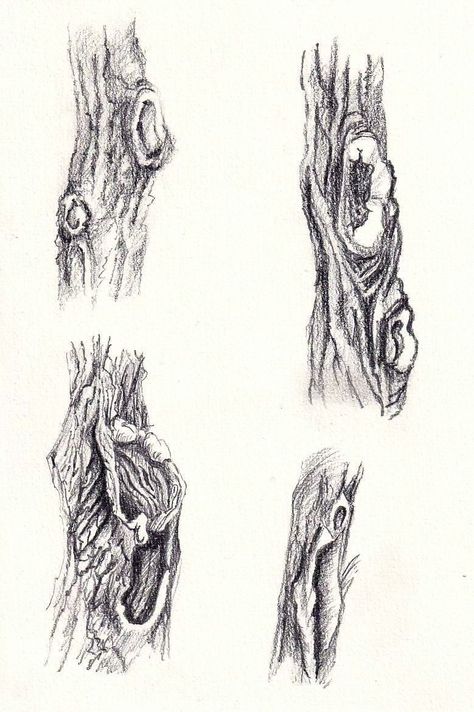 Incredible Pencil Tree Drawings You Must See Tree Bark Sketch Drawings, Tree Detail Drawing, Tree Bark Drawing Texture, Trees Pencil Drawing, Tree Sketches Pencil, Tree Texture Drawing, Black And White Tree Drawing, Tree Bark Drawing, Pencil Drawing Nature