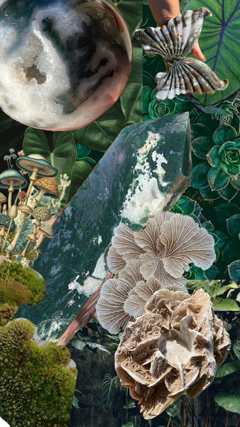 Green moss, hanging emerald green leaves, and ferns and mushrooms surround dark green crystal towers, spheres and a set of butterfly wings. A large desert rose tea light candle holder lies at the bottom. Forest Fairy Aesthetic, Magical Aesthetic, Crystals Aesthetic, Crystal Aesthetic, Fairy Aesthetic, Forest Fairy, Forest, Crystals