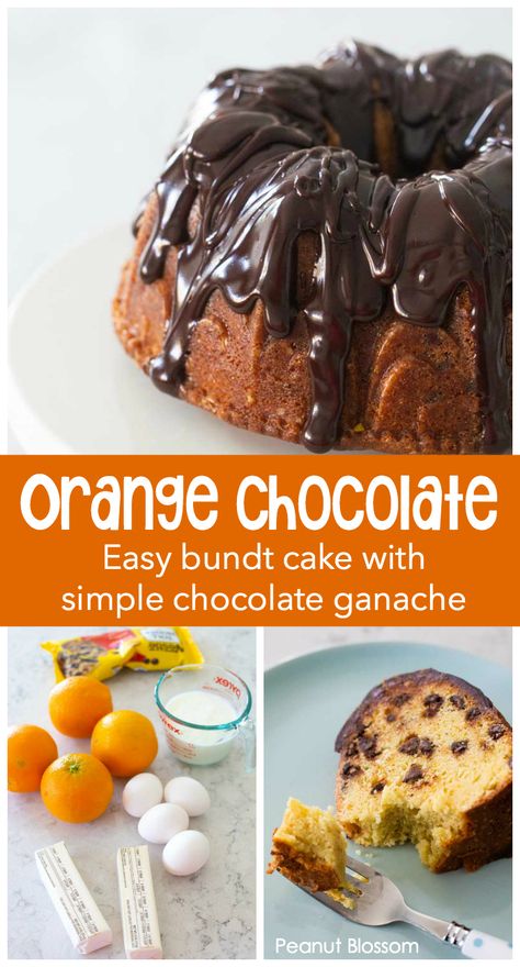 This zesty orange chocolate chip bundt cake is covered in an easy chocolate ganache. Perfect easy cake for a party. Chocolate Chip Bundt Cake Recipe, Chocolate Chip Bundt, Chocolate Chip Bundt Cake, Orange Bundt Cake, Easy Bundt Cake, Peanut Gallery, Orange Chocolate Cake, Bundt Cake Recipe, Orange Chocolate