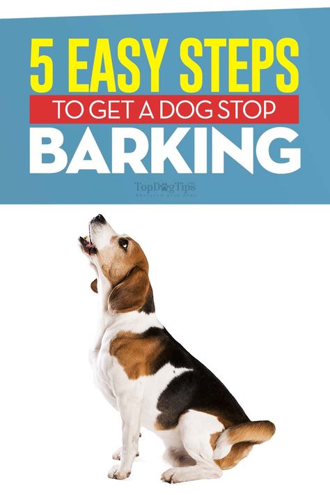 Dog Training Barking, Puppy Barking, Stop Dog Barking, Dog Behavior Problems, Dog Training Treats, Dog Training Advice, Dog Brain, Dog Training Videos, Dog Training Techniques