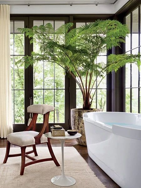 Big Indoor Plants, Interior Design Plants, Large Indoor Plants, Indoor Tree, Indoor Trees, Hanging Plants Indoor, Bathroom Plants, Plant Decor Indoor, Interior Plants