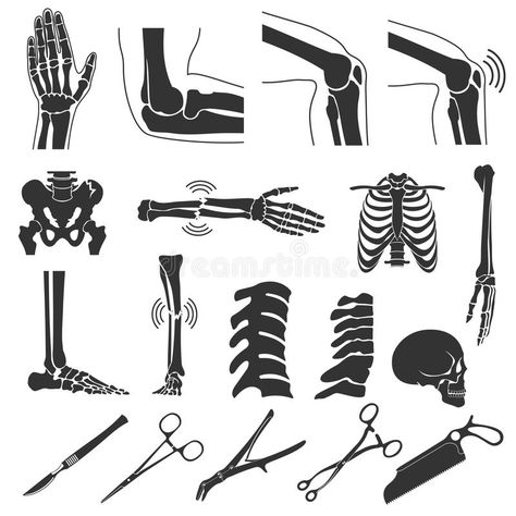 Anatomy Of The Knee, First Aid Steps, Human Body Bones, Human Joints, Human Knee, Anatomy Bones, خريطة ذهنية, Medical Theme, Sign Language Words