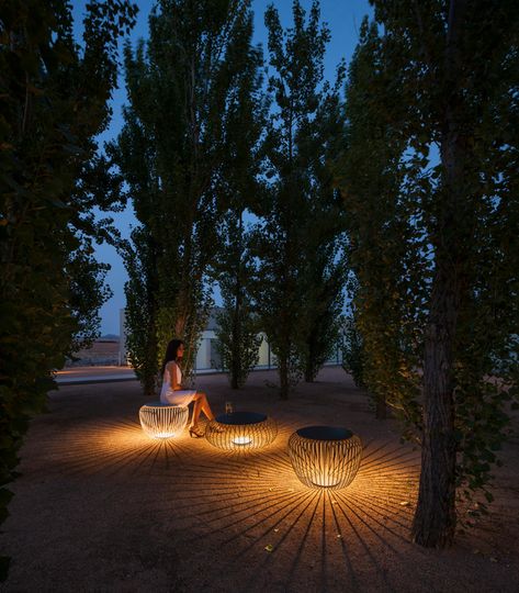 Park Lighting, Blitz Design, Landscape Lighting Design, Urban Furniture, Outdoor Floor Lamps, Street Furniture, Outdoor Wall Lamps, Lighting Inspiration, Garden Lamps