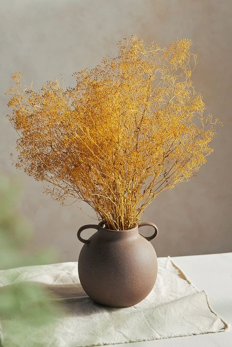 Dried Gypso Bunch | Anthropologie Marigold Flower, Magnolia Leaves, Spring 2025, Dry Flowers, Hand Poured Candle, Metal Candle, Awesome Bedrooms, Outdoor Garden Furniture, Hot Glue