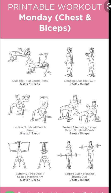 Wedding Ready Workout Plan, Gym Workouts Women Weights, Upper Body Workout At Gym Machine, Weight Machine Workouts For Women, Workout Routines At The Gym, Gym Workouts For Women, Weight Machine Workout, Gym Training Program, Upper Body Workout Gym