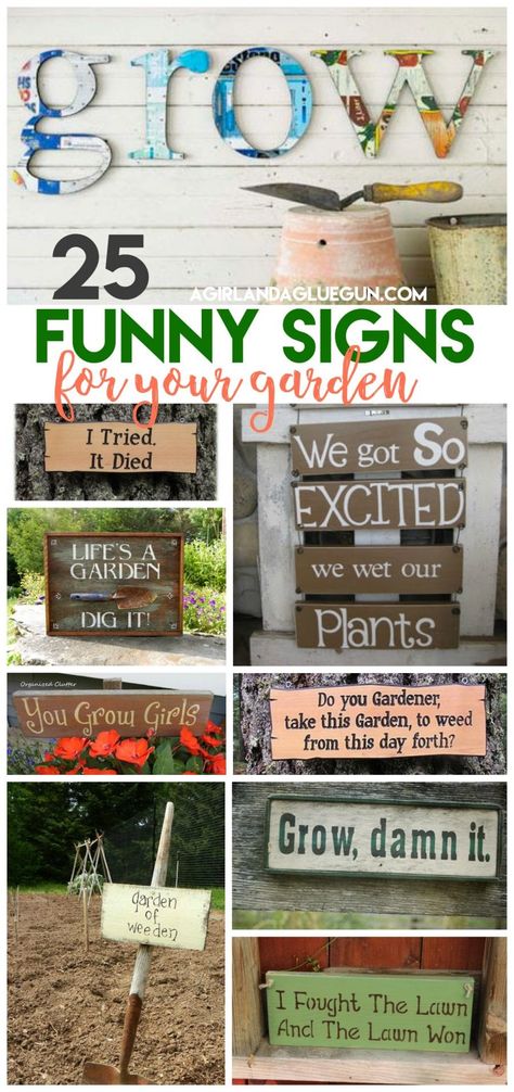 25 super funny Garden signs - A girl and a glue gun Garden Signs Diy, Garden Diy Decoration Ideas, Funny Garden Signs, Hilarious Signs, Garden Quotes, Garden Signs, Decoration Inspiration, Diy Signs, Garden Crafts