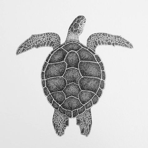 Green Turtle Tattoo, Green Turtle Drawing, Green Sea Turtle Tattoo, Stippling Art Animals, Sea Turtle Sketch, Turtle Stippling Art, Ocean Animals Art, Turtle Ink Drawing, Sea Animals Drawing