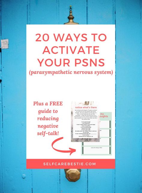 How To Activate Parasympathetic Nervous System, Activate Parasympathetic Nervous System, Parasympathetic Nervous System Activate, Guided Imagery, Parasympathetic Nervous System, Health Tools, Getting A Massage, Vagus Nerve, Therapy Tools