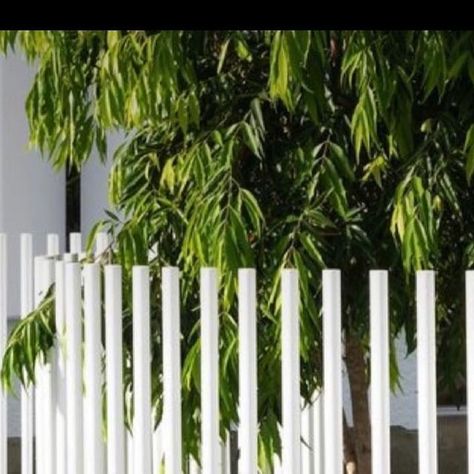 Pool fence inspo ❤️   #noglasstoclean #poolfence #inspo #inspophoto #thosecurves #white #pool #poolarea #building #hyamsonblacket | Instagram White Pool Fence, White Pool, Pool Fence, Pool Area, Fence, Vision Board, Pool, Building, On Instagram