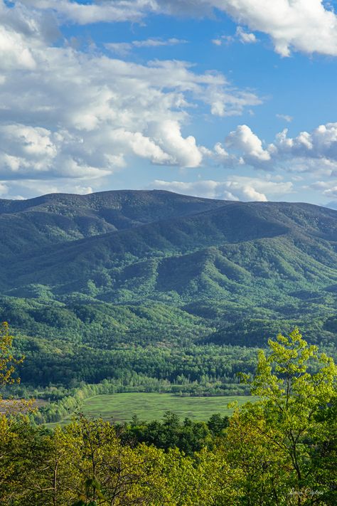 View of Cades Cove on a sunny evening Cades Cove Tennessee Photography, Tennessee Photography, Smokey Mountains Vacation, Cades Cove Tennessee, Mountains Vacation, Nc Mountains, Candles Wax, Cades Cove, Mountain Vacations