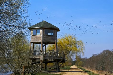 Tērvete Reservoir Bird Watching Tower and Tundra Begn Geese Bird Watching Tower, Artificial Lake, Water Reservoir, Bow Hunting, Watch Tower, Swan Lake, Bird Watching, Urban Design, The River