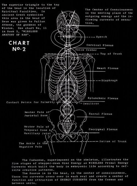 Polarity therapy works with the electromagnetic field to enhance the energy flow and  balance the chakra system. According to Dr. Stone, we are fields of pulsating life energy made up of 5 elements (Ether, Air, Fire, Water, Earth) and 3 gunas (Sattva, Rajas, Tamas concepts from Ayurveda tradition). Each element has its own vibration and frequency and is in constant motion, exchanging energy between the positive, neutral, and negative poles in the body. Air Fire Water Earth, Polarity Therapy, Chakra Health, Sacred Science, Medical Student Study, Japanese Water, Electromagnetic Field, Body Map, Energy Transfer