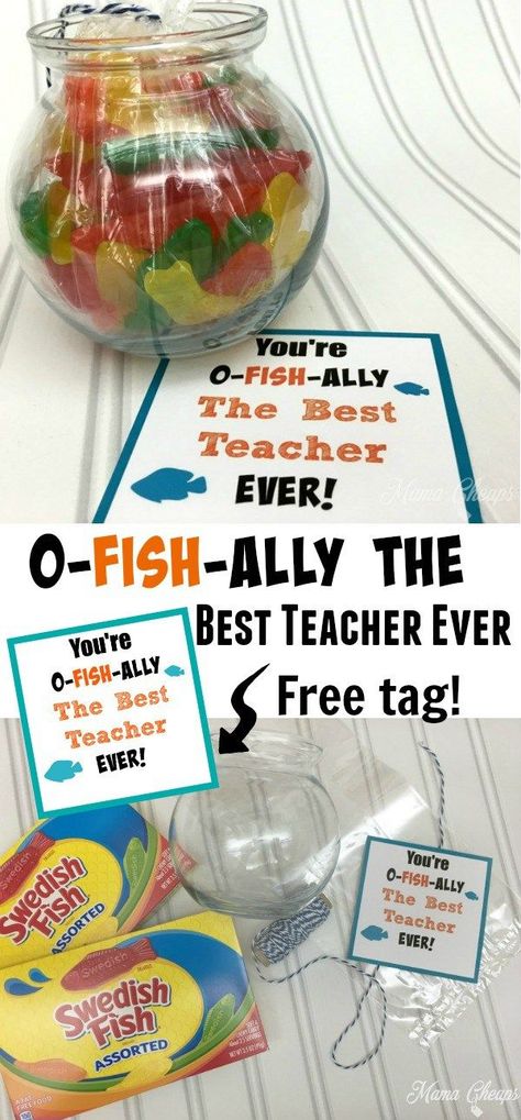 O-FISH-ALLY the Best Teacher Swedish Fish Gift Idea + Free Printable Tag Diy Easy Christmas Gifts, Swim Teacher Gifts, Prayer Partner, Coffee Gift Basket, O Fish Ally, Swedish Fish, Free Printable Tags, Diy Christmas Gifts Cheap, Easy Christmas Gifts