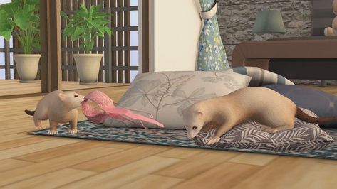 https://flic.kr/p/2h69vaU | VIDEO Frisky Ferrets by Mutresse | Gacha Info Location: The Arcade (opens on September 1st!) Sims 4 Ferret Cc, Sims 4 Ferret, Tumblr Sims 4, Hay Day, September 1st, Sims 4 Cc, Sims 4 Mods, Sims Cc, Second Life