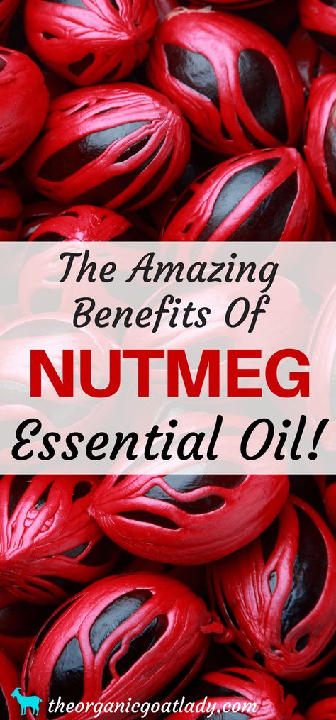 The Amazing Benefits Of Nutmeg Essential Oil! Benefits Of Nutmeg, Nutmeg Oil, Growing Beans, Oil Therapy, Nutmeg Essential Oil, Benefits Of Essential Oils, Modern Homestead, Oils Essential, Homemade Essential Oils