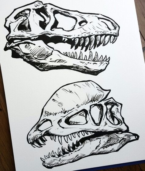 Dinosaur skulls.  Instagram @artbykatekennedy  #art #drawing #sketch #ink #brushpen #dinosaur Dinosaur Skull, Dinosaur Sketch, Skull Sketch, Petit Tattoo, Dinosaur Tattoos, Dinosaur Drawing, Doodle Tattoo, Paleo Art, Juxtapoz Magazine