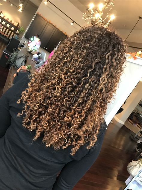 Curly hair with Balayage Highlights Blonde Highlights Curly Hair, Dyed Curly Hair, Highlights Curly Hair, Blonde Curly Hair, Colored Curly Hair, Dyed Natural Hair, Honey Blonde Hair, Curly Hair Inspiration, Permed Hairstyles