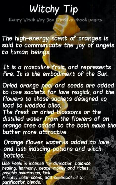 Witchcraft specialties Every Witch Way, Dried Orange Peel, Under Your Spell, Wiccan Witch, Magical Herbs, Eclectic Witch, Witchcraft Spell Books, Wicca Witchcraft, Herbal Magic