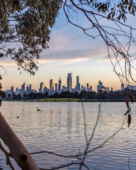 Albert Park Melbourne, Albert Park, Beautiful Landscape Photography, Summer Goals, Melbourne Victoria, City Views, Victoria Australia, Summer Wallpaper, Picnic Area