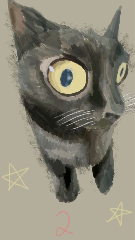 side eye cat digital sketch by me #funnycat #art #digitalsketch #digitalart #stars Gray Cat Drawing, Draw Beginner, Side Eye Cat, Drawing Beginners, Faces Drawings, Cat Eyes Drawing, Inspiring Drawings, Inspiration Draw, Inspirational Drawings