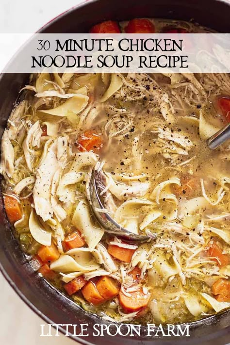 This is hands down, the best chicken noodle soup recipe! It's is made with rotisserie chicken for a quick meal that's perfect for busy weeknights. This amazing soup only takes 30 minutes to make, but has so much flavor, it tastes like it's been simmering for hours! Best Chicken Noodle Soup Recipe, The Best Chicken Noodle Soup, Little Spoon Farm, Best Chicken Noodle Soup, Make A Sourdough Starter, Farmhouse Recipes, Sourdough Bagels, Homemade Chicken Noodle, Farm Recipes