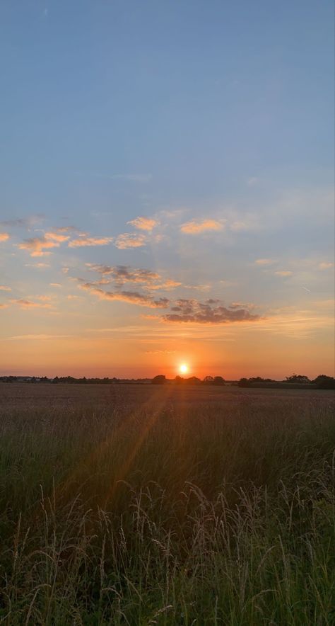 Sunset In The Country, Sunset In A Field, Sunset Woods, Sunset Countryside, Cute Background For Zepeto, Sunset Field, Country Sunset, Country Backgrounds, Sunrise Aesthetic