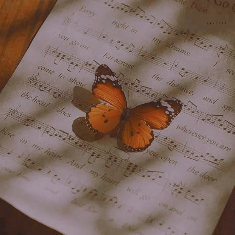 Haileycore Aesthetic, Republic Records, Butterfly Music, Kaptan Jack Sparrow, Cute Couple Comics, Red Tour, Butterfly Photos, Butterflies Flying, Orange Butterfly