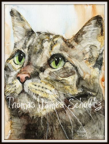 Leo | by First and Main --Thomas James Schultz Cats Watercolor, Gray Tabby Cat, Gray Tabby, Basic Watercolor, Paint Your Pet, Watercolor Cat, Cats Illustration, Cat Portraits, Painting Class