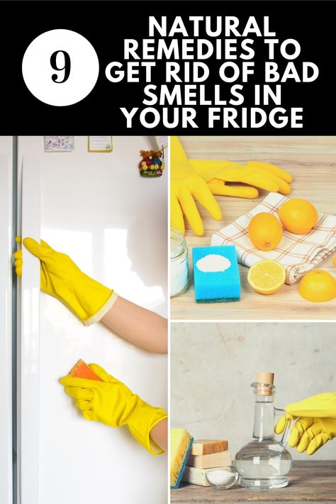 How To Clean Your Fridge, How To Get Rid Of Smell In Fridge, Fridge Smell Tips, How To Clean Fridge, Smelly Refrigerator, Fridge Odor Eliminator, Smelly Fridge, Fridge Cleaning Hacks, Fridge Cleaning