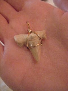 Shark Tooth Necklace Diy, Shark Teeth Jewelry, Twenty Something, Shell Ideas, Shark Tooth Necklace, Tooth Necklace, Seashell Jewelry, Mila Kunis, Creative Stuff