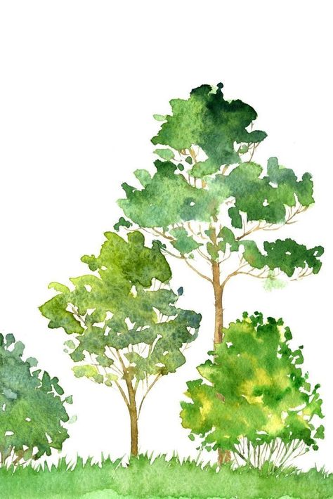 Art Examples, Tree Watercolor Painting, Watercolor Paintings For Beginners, Watercolor Lessons, Watercolor Tree, Watercolour Inspiration, Watercolor Paintings Easy, Watercolor Painting Techniques, Watercolor Landscape Paintings